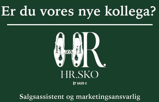 Jobbeskrivelse