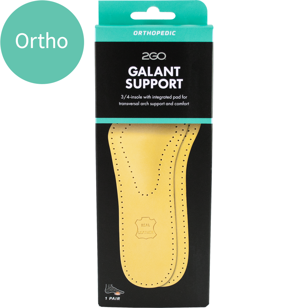 2GO Galant Support
