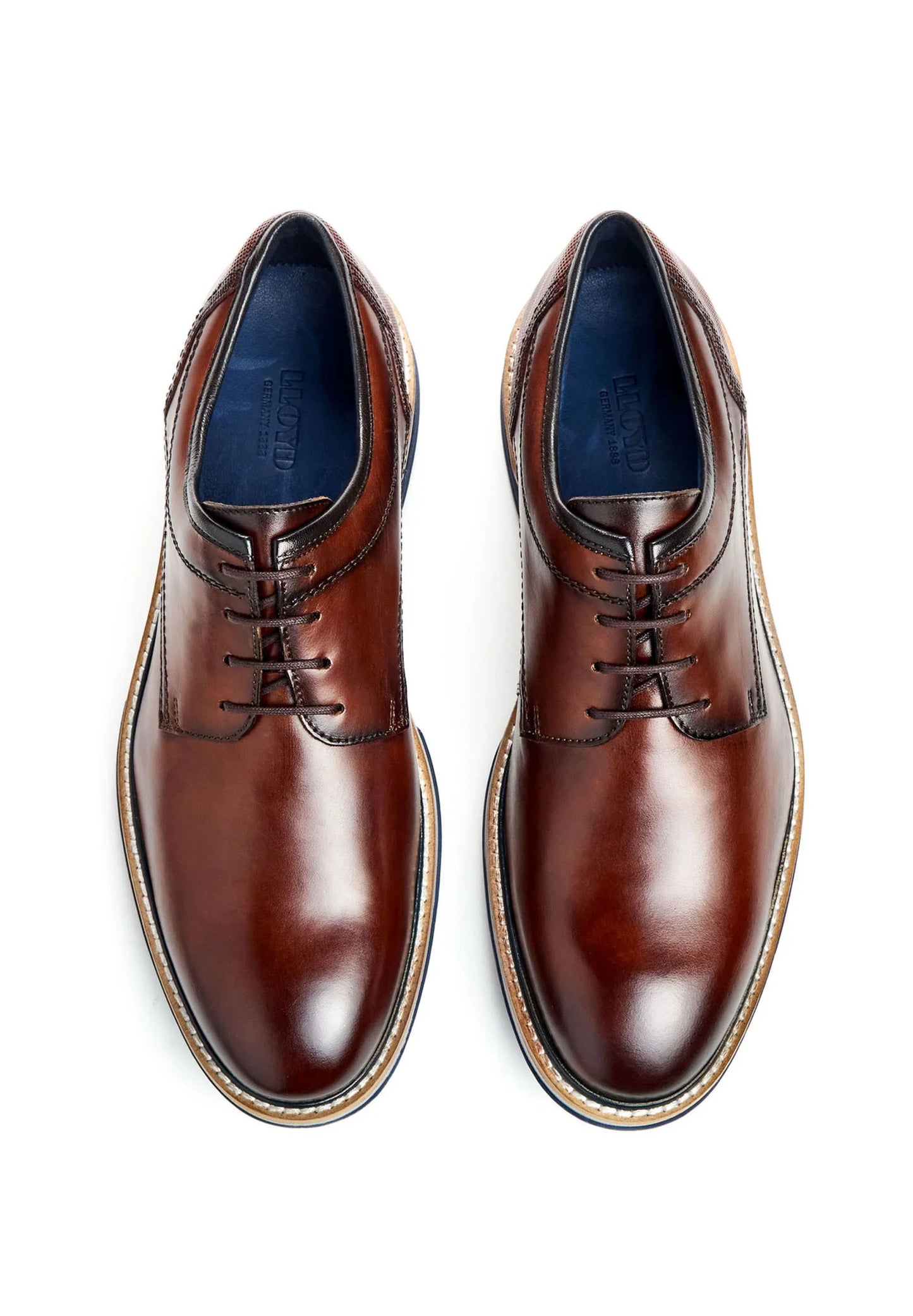 Lloyd Dero Brandy/Ocean Brown Leather
