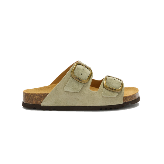 Scholl Noelle Sage Ruskind
