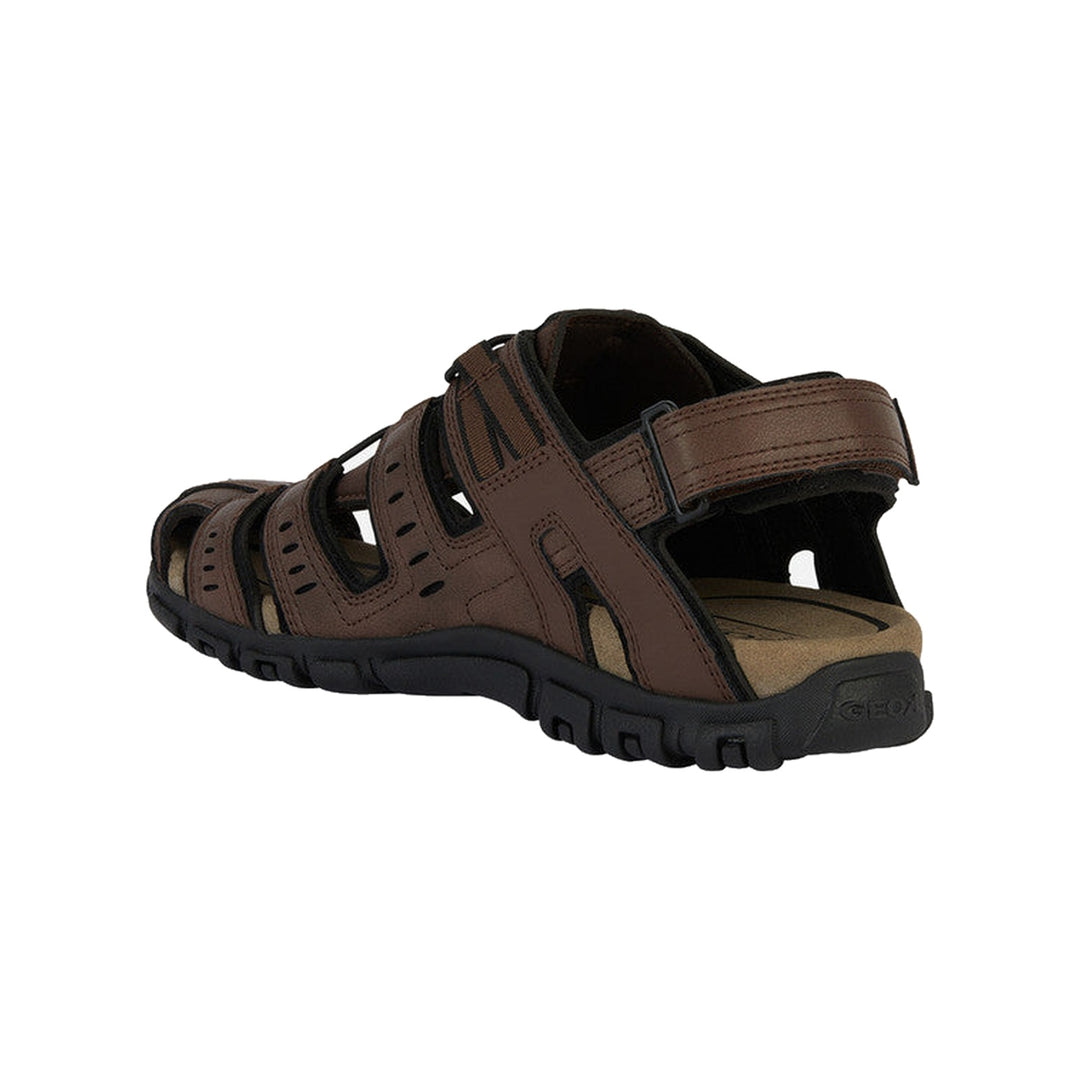 Geox Strada Man Mørkebrun Sandal