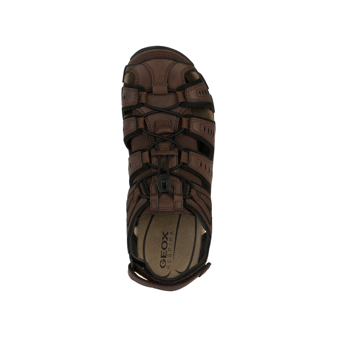 Geox Strada Man Mørkebrun Sandal