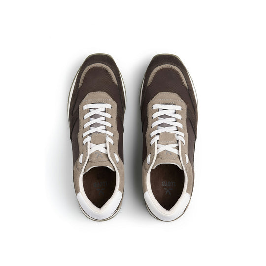 Lloyd Swift Mørkebrun Sneaker
